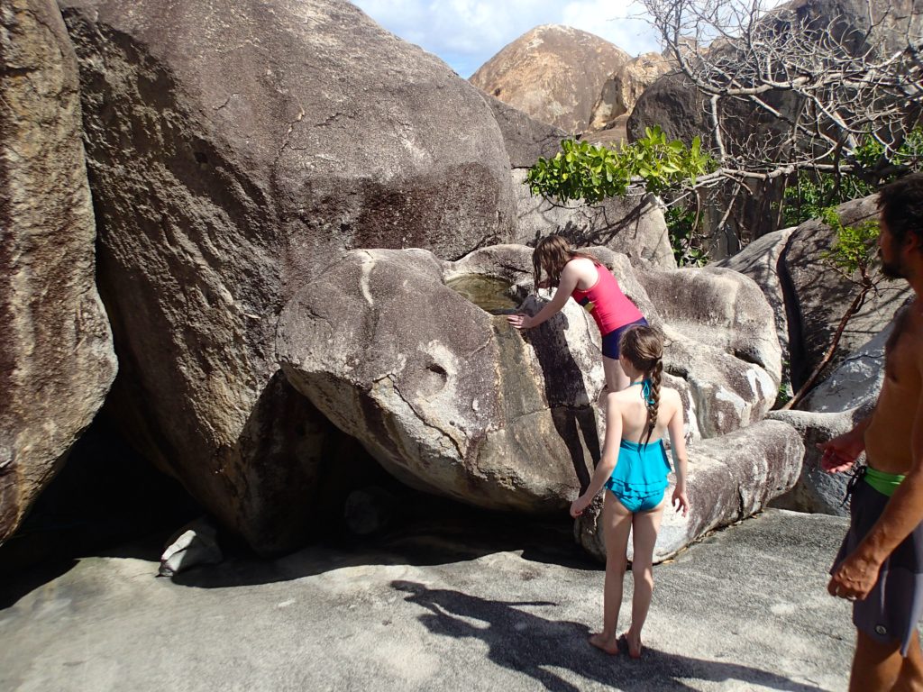 Tortola St. Thomas cruise excursion island roots