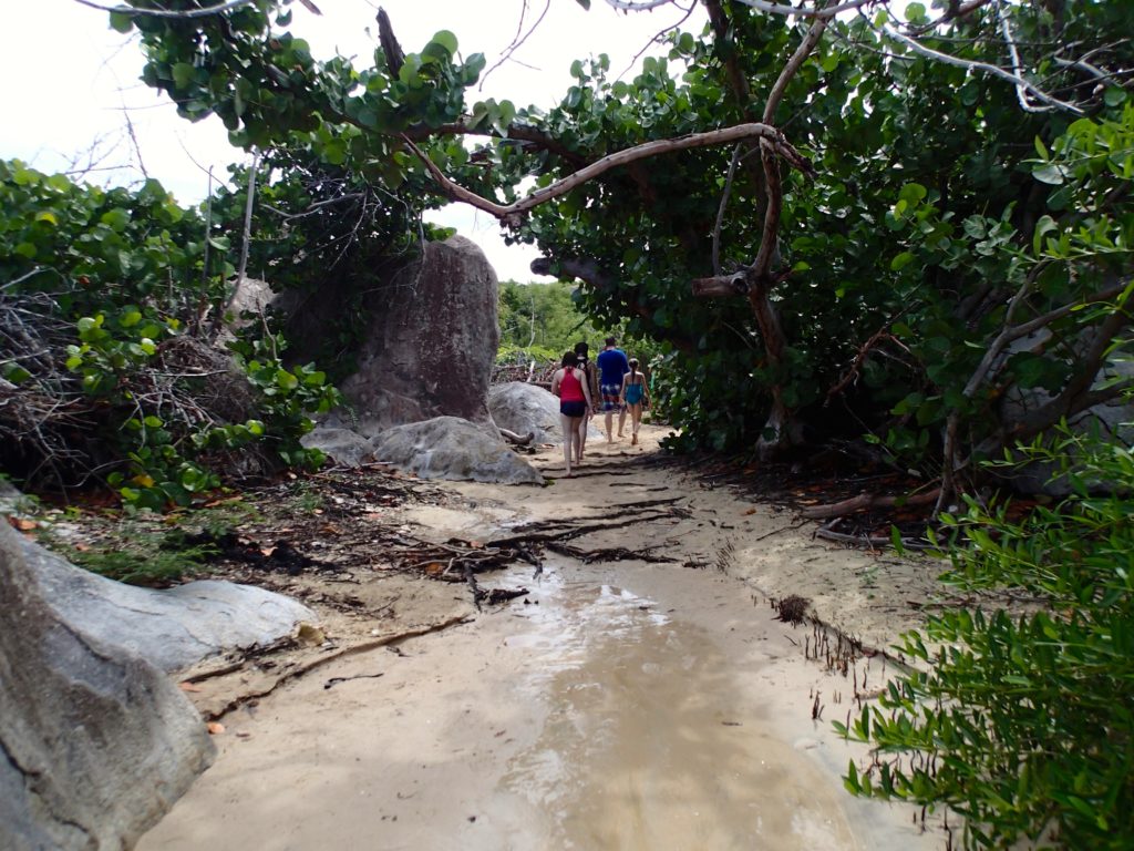 Tortola St. Thomas cruise excursion island roots