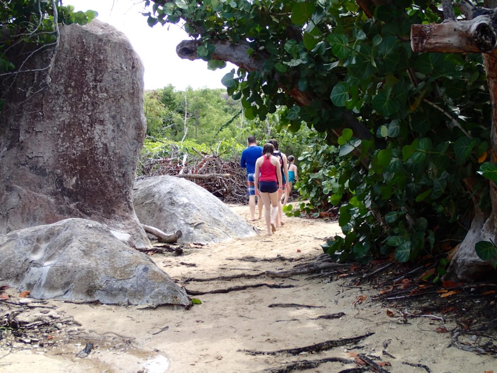 Tortola St. Thomas cruise excursion island roots