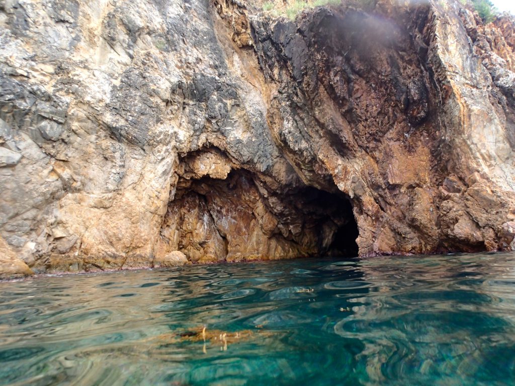 Tortola St. Thomas cruise excursion island roots