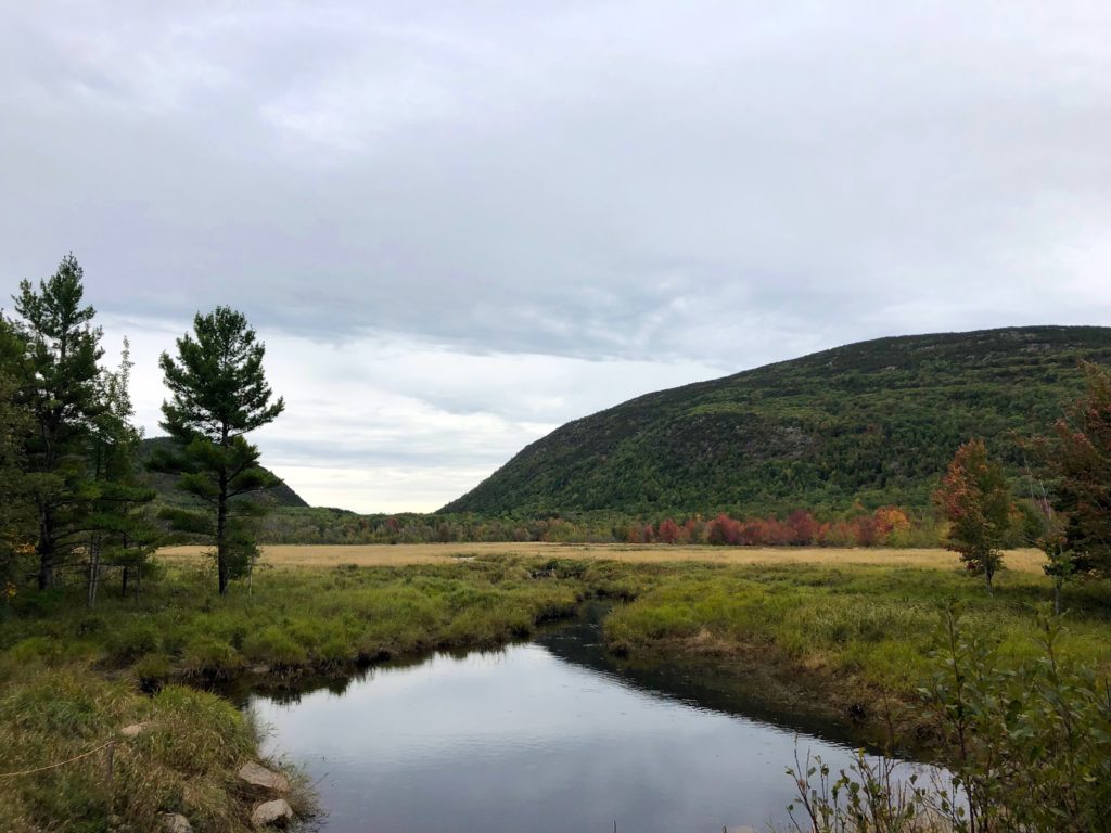 Disney Cruise Maine Canada Trip Report