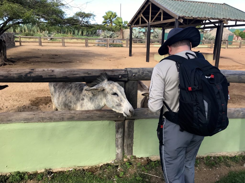 Disney Wonder Southern Caribbean Trip Report