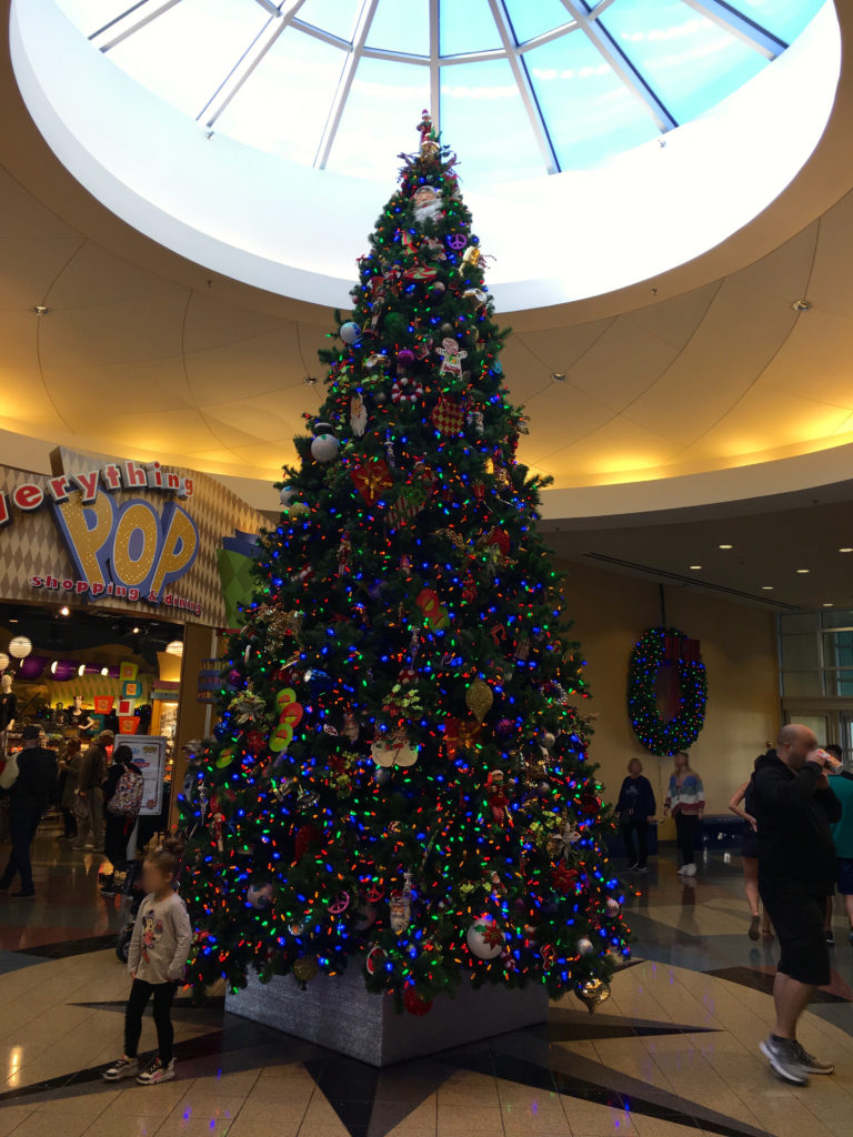 Disney Dream Very Merrytime Trip Report