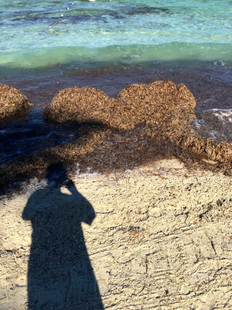 Disney Dream Very Merrytime Trip Report
