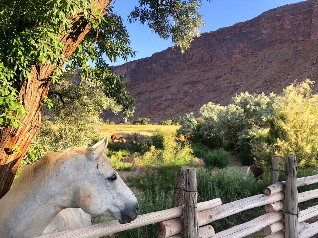 Adventures by Disney Arizona Utah Trip Report