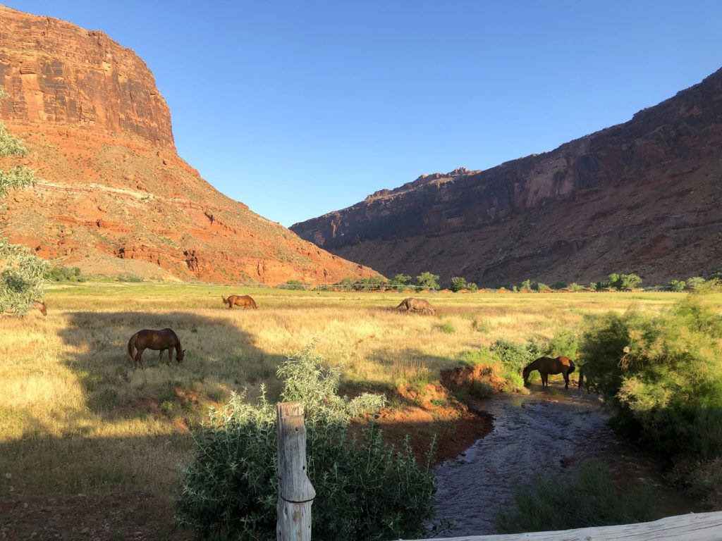 Adventures by Disney Arizona Utah Trip Report