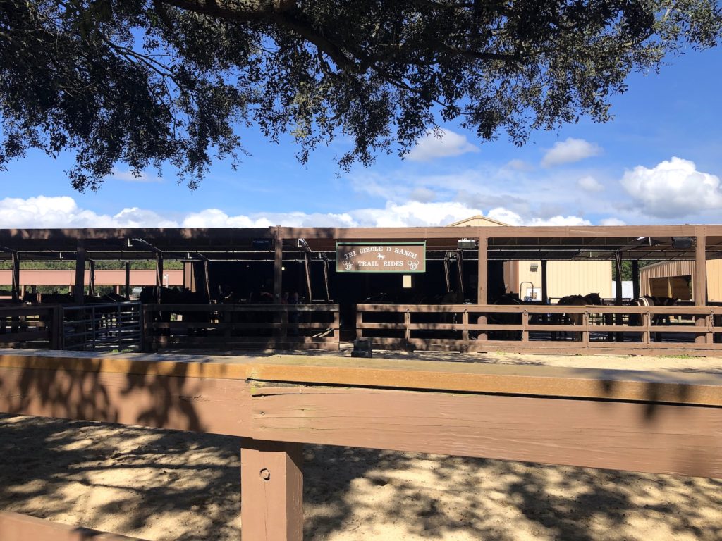 The Cabins at Disney's Fort Wilderness Resort