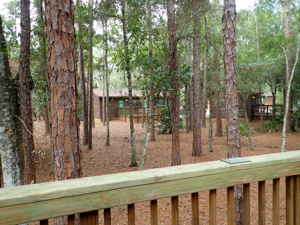 The Cabins at Disney's Fort Wilderness Resort