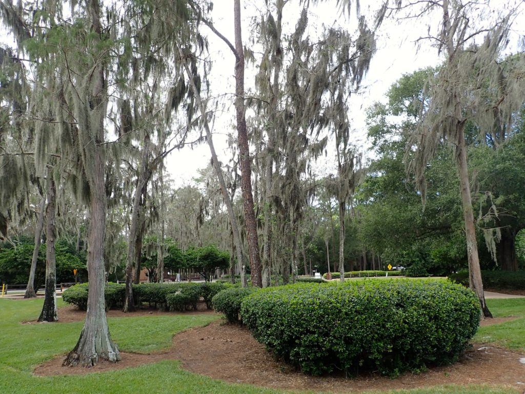 The Cabins at Disney's Fort Wilderness Resort