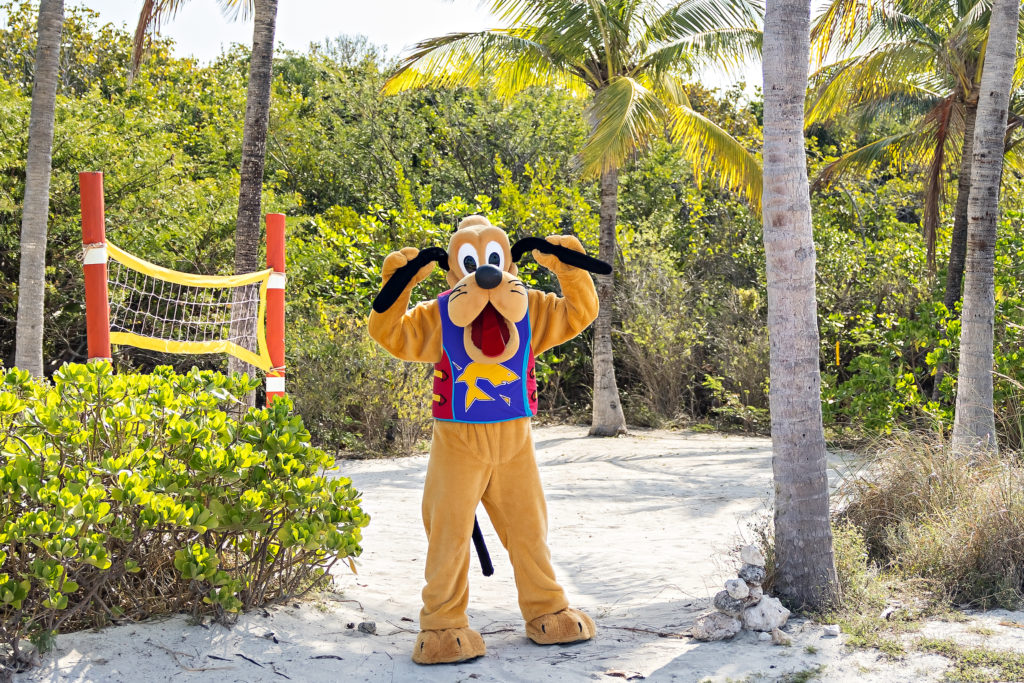 Disney Cruise Guest Trip Report Magic from Miami