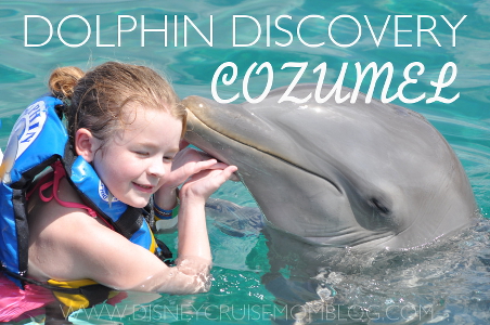 Read about our day at Dolphin Discovery inside Chankanaab Park in Cozumel while on our Disney Cruise.