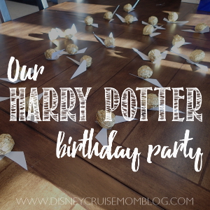 Harry Potter Birthday Party
