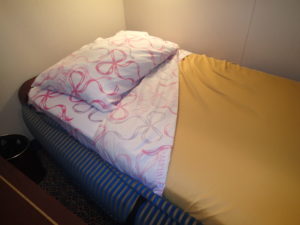 Disney cruise sofa bed
