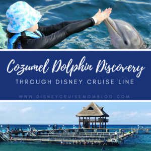 Cozumel Dolphin Discovery Chankanaab Disney Cruise