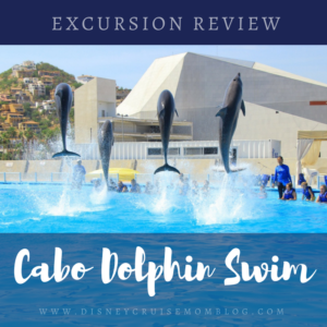 Disney Cruise Cabo Dolphin Swim Review