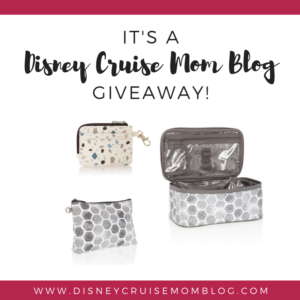 Thirty One Gifts Giveaway