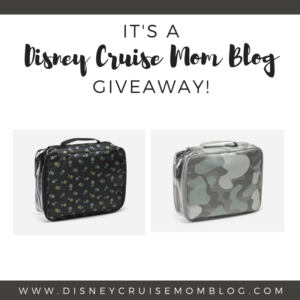 Thirty One travel case giveaway by Teri